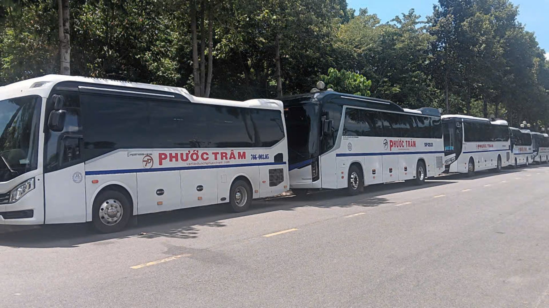 Hợp đồng cho thuê xe du lịch Quảng Ngãi: Điều cần biết trước khi ký kết 3 Thuê xe du lịch Quảng Ngãi của Vận tải Phước Trâm